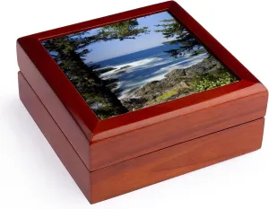 3dRose Wild Pacific Trail, Vancouver Island British Columbia-CN02 PCL0194 - Paul Colangelo, Jewelry Box jb-70800-1