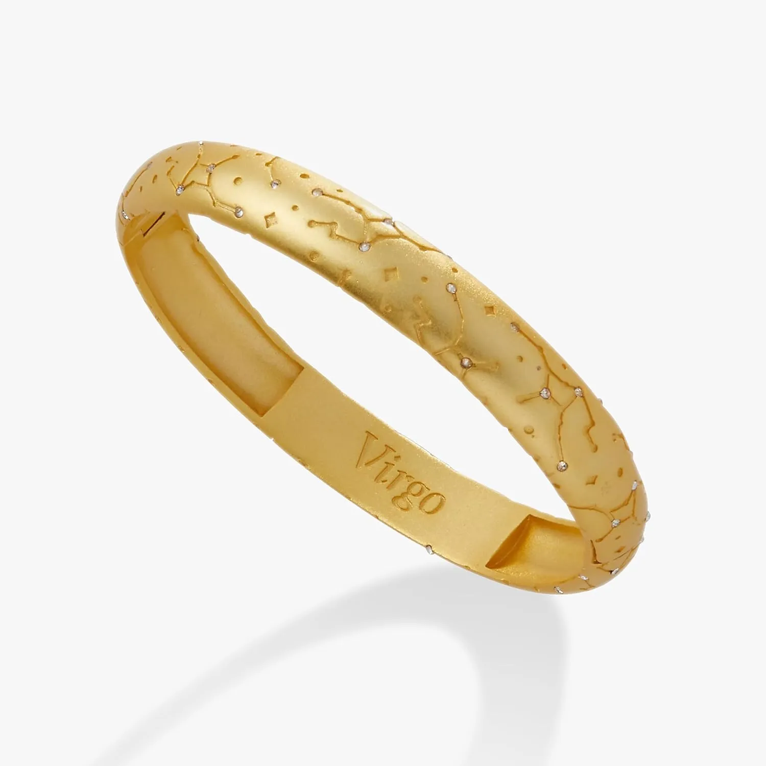Alex and Ani AA741823SAG