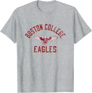 Distressed Icon Light Gray T-Shirt