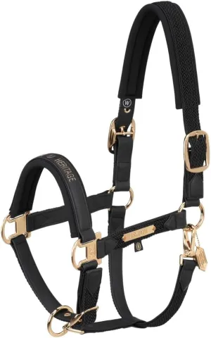 headcollar Faux Leather DOUBLEPIN Plait Heritage 24