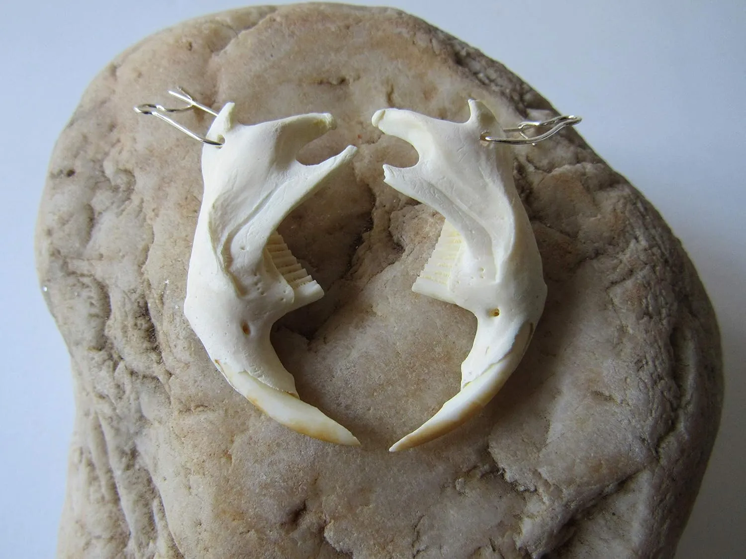 Muskrat Jawbone Earrings Spirit Jewelry Animal Bone Jewelry
