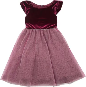 Rare Editions Little Girl Velvet and Sparkle Tulle Dress, Burgundy