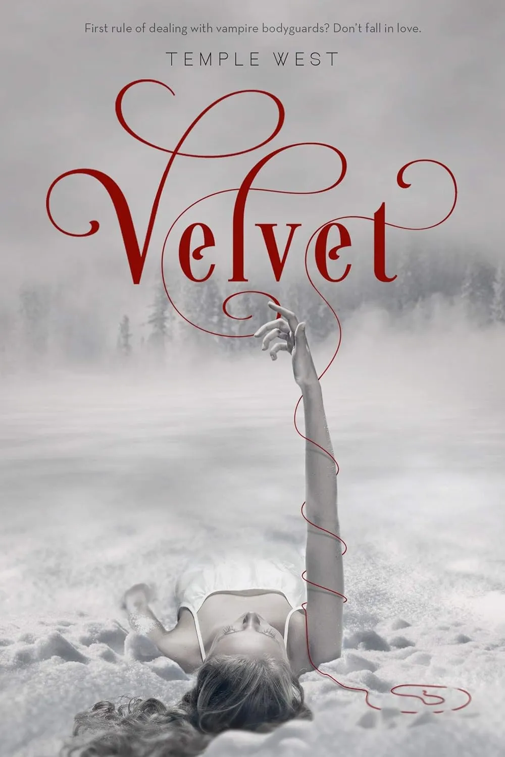 Velvet Paperback – May 12, 2015